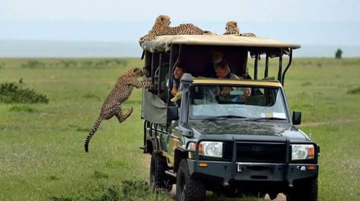 Masai Mara Expedition